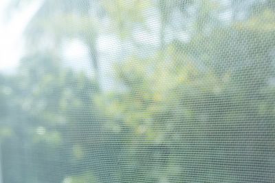 Keep Your Window Screens in Good Condition!
