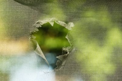 Repair Screens That are Damaged!