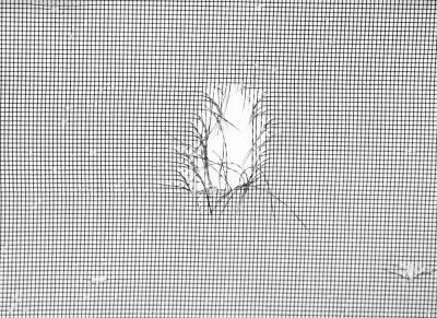 Repair Torn Window Screens!